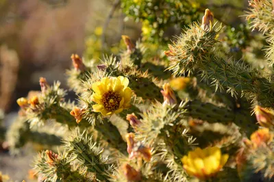 DSC_1838 (Large).JPG